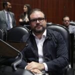 México endurece penas por tala ilegal: hasta 20 años de prisión