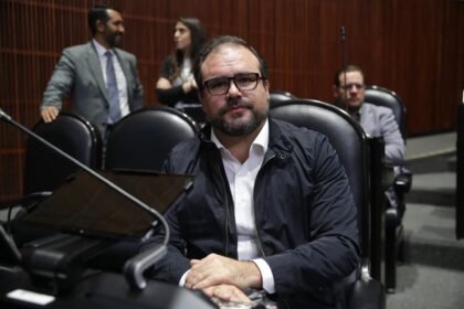 México endurece penas por tala ilegal: hasta 20 años de prisión