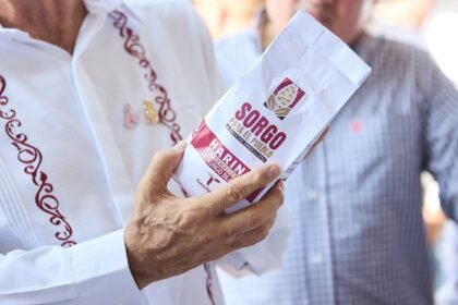 Sorgo blanco impulsa desarrollo rural y valor agrícola en Tamaulipas