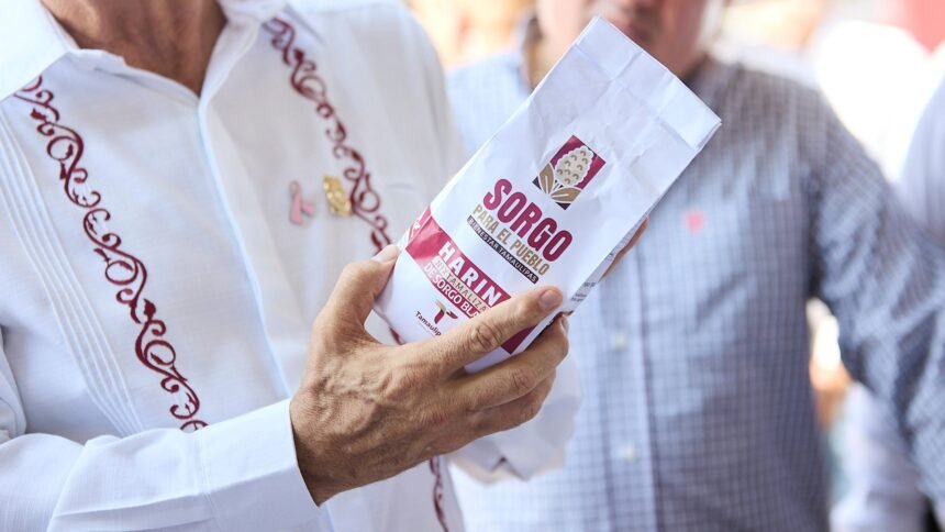Sorgo blanco impulsa desarrollo rural y valor agrícola en Tamaulipas