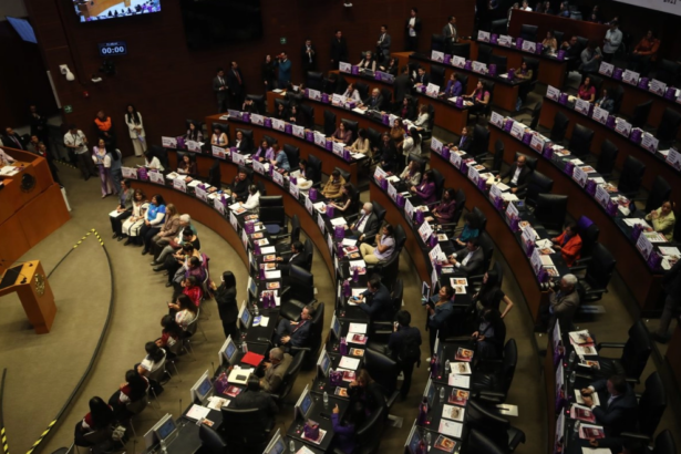 Senado: Oposición admite exceso en financiamiento a partidos
